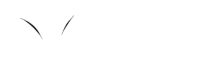Jungle Flowers Logo