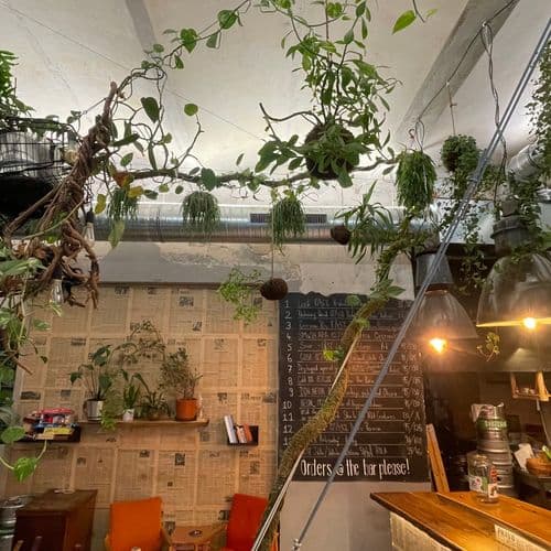 Biofilní design, Biophilic design