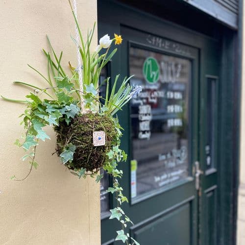 spring Kokedama, jarní Kokedama, netradiční výzdoba, 